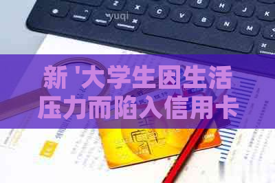 新 '大学生因生活压力而陷入信用卡透支困境，如何解决还款问题？'