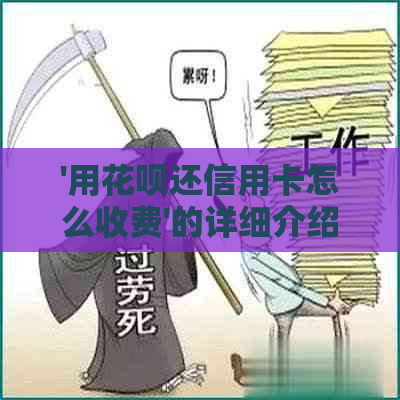 '用花呗还信用卡怎么收费'的详细介绍及费用分析