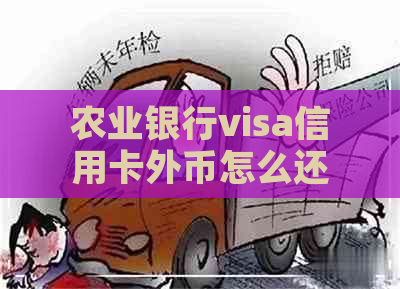 农业银行visa信用卡外币怎么还