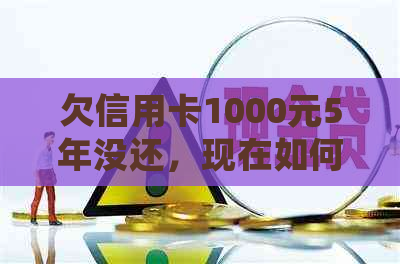 欠信用卡1000元5年没还，现在如何处理？