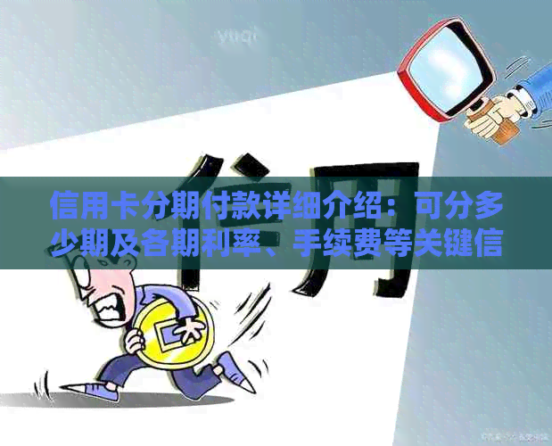 信用卡分期付款详细介绍：可分多少期及各期利率、手续费等关键信息