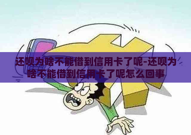 还呗为啥不能借到信用卡了呢-还呗为啥不能借到信用卡了呢怎么回事