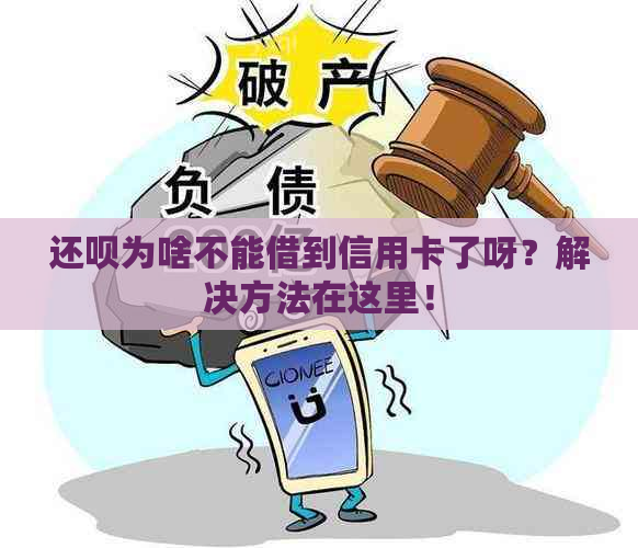 还呗为啥不能借到信用卡了呀？解决方法在这里！