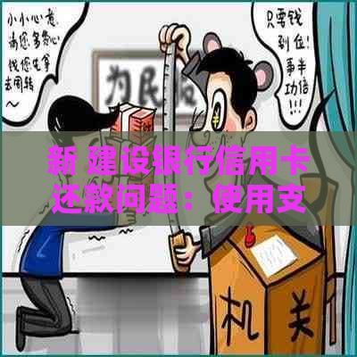 新 建设银行信用卡还款问题：使用支付宝未到账如何解决？