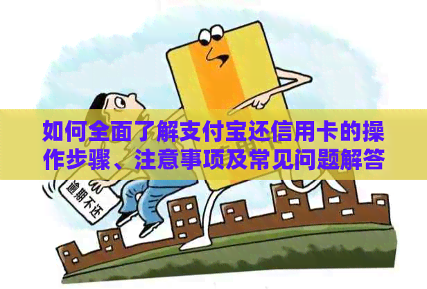 如何全面了解支付宝还信用卡的操作步骤、注意事项及常见问题解答