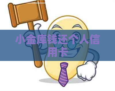 小金库钱还个人信用卡