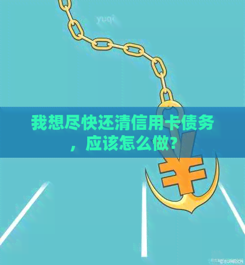 我想尽快还清信用卡债务，应该怎么做？