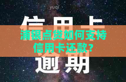 浦银点贷如何支持信用卡还款？