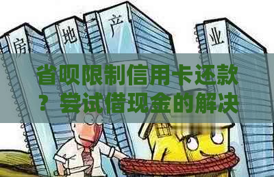 省呗限制信用卡还款？尝试借现金的解决方案及注意事项