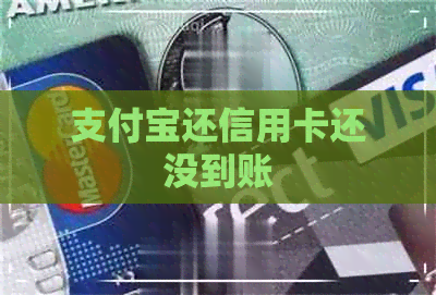 支付宝还信用卡还没到账