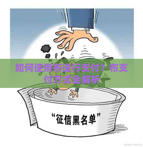 如何使用布进行支付？布支付方式全解析