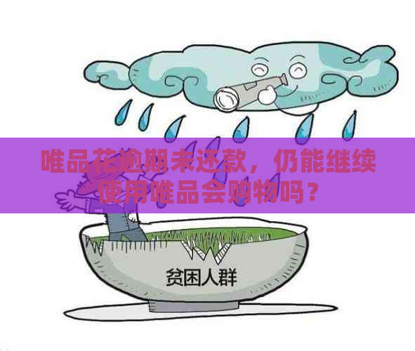 唯品花逾期未还款，仍能继续使用唯品会购物吗？