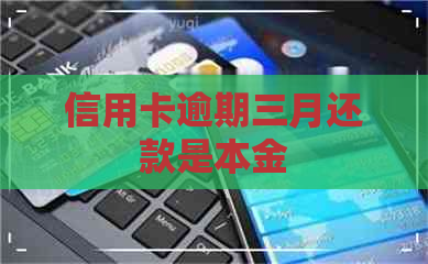 信用卡逾期三月还款是本金