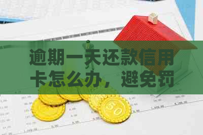 逾期一天还款信用卡怎么办，避免罚息和信用损失的有效建议