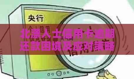 北漂人士信用卡逾期还款困境及应对策略