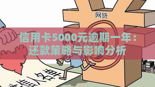 信用卡5000元逾期一年：还款策略与影响分析