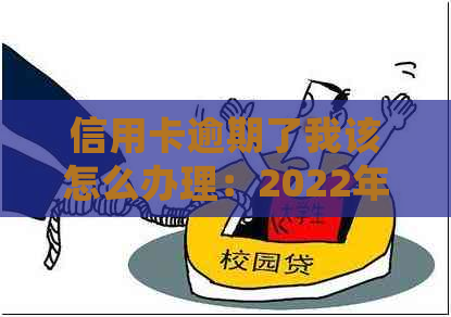 信用卡逾期了我该怎么办理：2022年逾期流程与处理方法