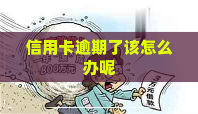 信用卡逾期了该怎么办呢