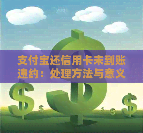 支付宝还信用卡未到账违约：处理方法与意义