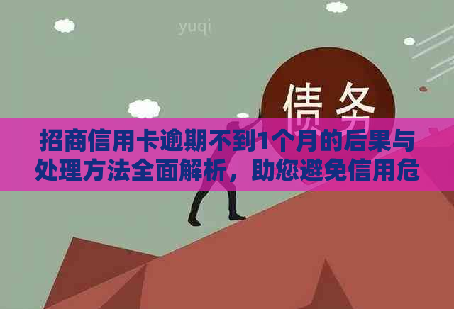 招商信用卡逾期不到1个月的后果与处理方法全面解析，助您避免信用危机！