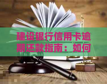 建设银行信用卡逾期还款指南：如何避免影响信用评分与罚款