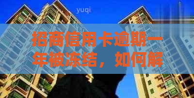 招商信用卡逾期一年被冻结，如何解冻并恢复正常使用？