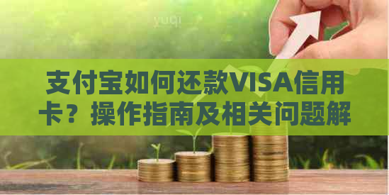 支付宝如何还款VISA信用卡？操作指南及相关问题解答