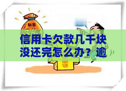 信用卡欠款几千块没还完怎么办？逾期还款后果、解决方案和应对策略全面解析