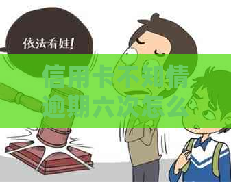 信用卡不知情逾期六次怎么办？如何处理？