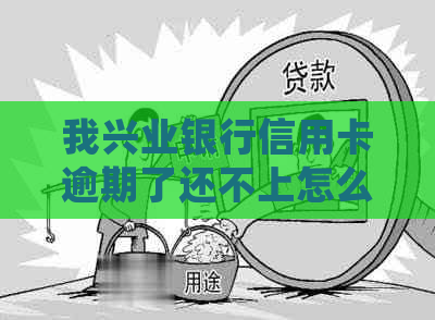 我兴业银行信用卡逾期了还不上怎么办-停息挂账自己怎么去申请