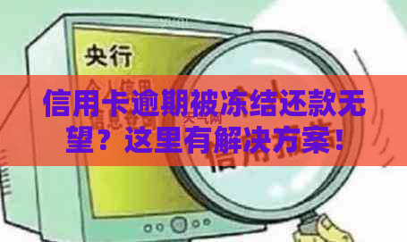 信用卡逾期被冻结还款无望？这里有解决方案！