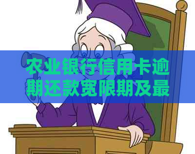 农业银行信用卡逾期还款宽限期及最长逾期天数详解