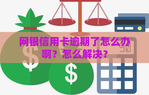 网银信用卡逾期了怎么办啊？怎么解决？