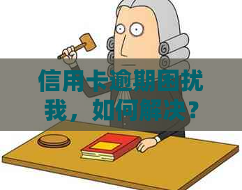 信用卡逾期困扰我，如何解决？