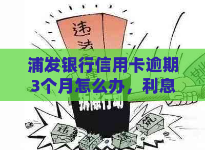 浦发银行信用卡逾期3个月怎么办，利息、开庭和欠款详情