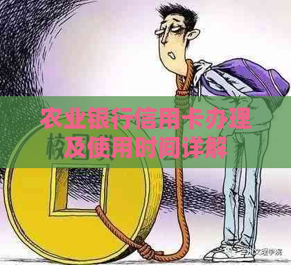 农业银行信用卡办理及使用时间详解