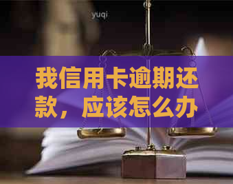 我信用卡逾期还款，应该怎么办？