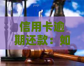 信用卡逾期还款：如何解决只还本金的问题？