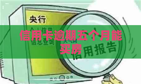 信用卡逾期五个月能买房