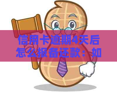 信用卡逾期4天后怎么报备还款：如何进行信用卡逾期还款报备？