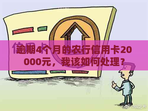 逾期4个月的农行信用卡20000元，我该如何处理？