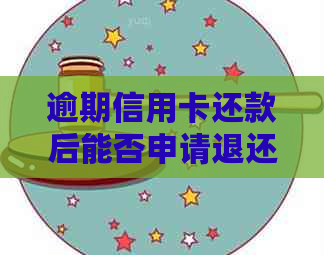 逾期信用卡还款后能否申请退还已付利息？完整解决方案和步骤解析