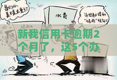 新我信用卡逾期2个月了，这5个办法帮你解决困境！