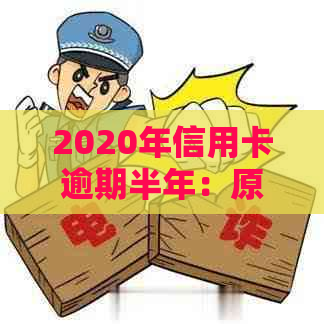 2020年信用卡逾期半年：原因、影响、解决方法及如何预防逾期