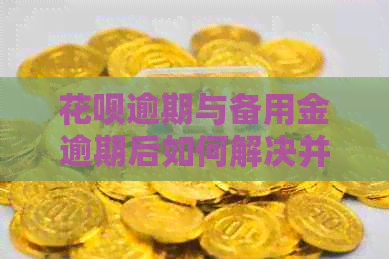 花呗逾期与备用金逾期后如何解决并恢复使用：详细步骤解析