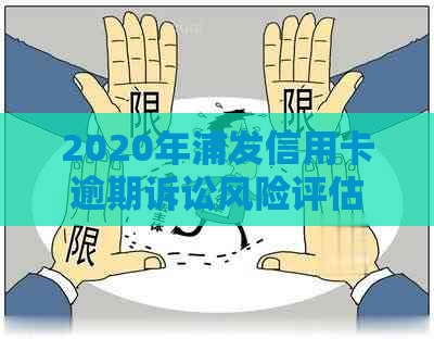 2020年浦发信用卡逾期诉讼风险评估：概率、影响及应对策略