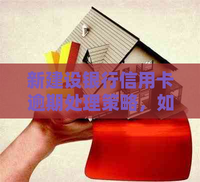 新建设银行信用卡逾期处理策略，如何避免影响信用记录？