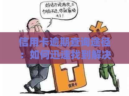 信用卡逾期查询途径：如何迅速找到解决方案？