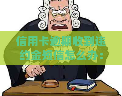 信用卡逾期收到违约金短信怎么办：2021年计算方法及处理方式