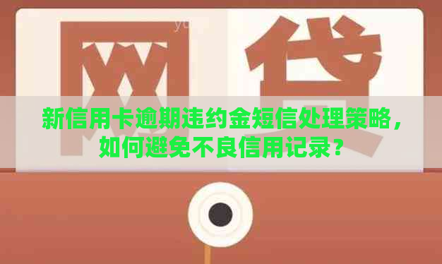 新信用卡逾期违约金短信处理策略，如何避免不良信用记录？